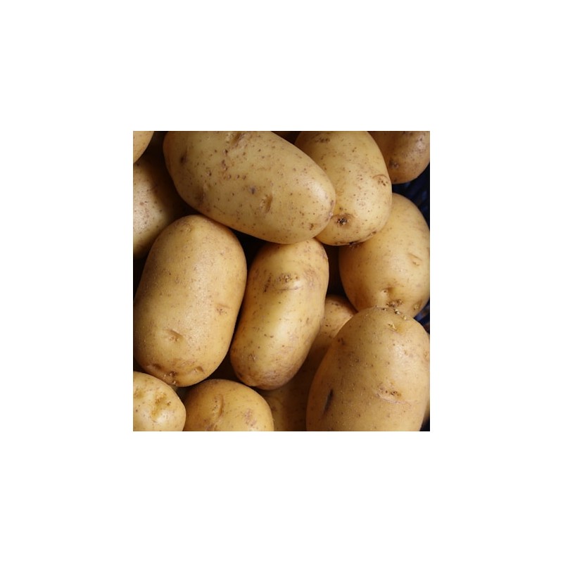 Aardappelen